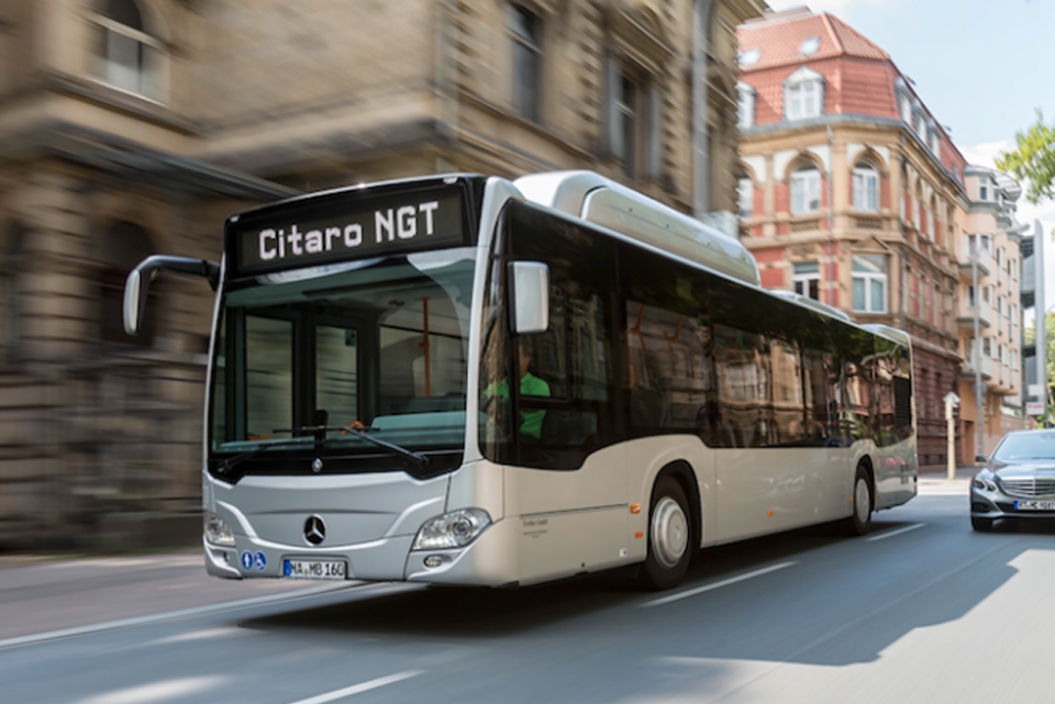 Bus urbano 53 posti