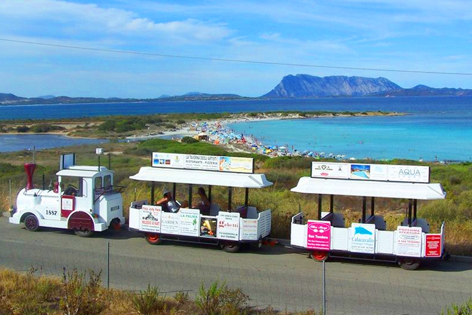 Trenino elettrico